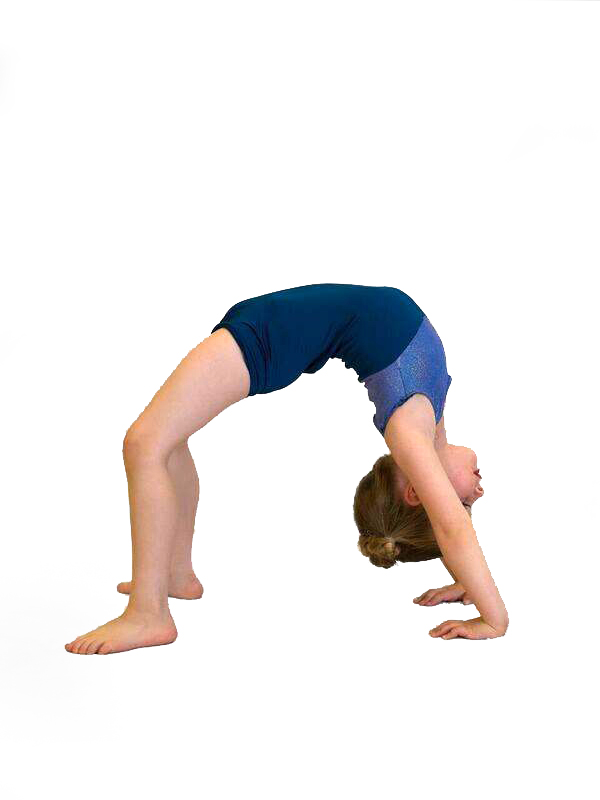 acro1 Acro